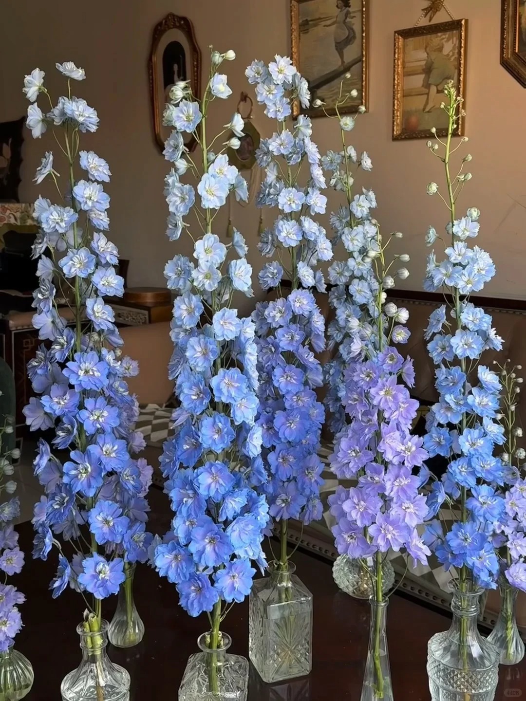 你敢信吗？这些大飞燕原本都是浅紫色哇！💜_3_五月的花花子_来自小红书网页版(1).jpg