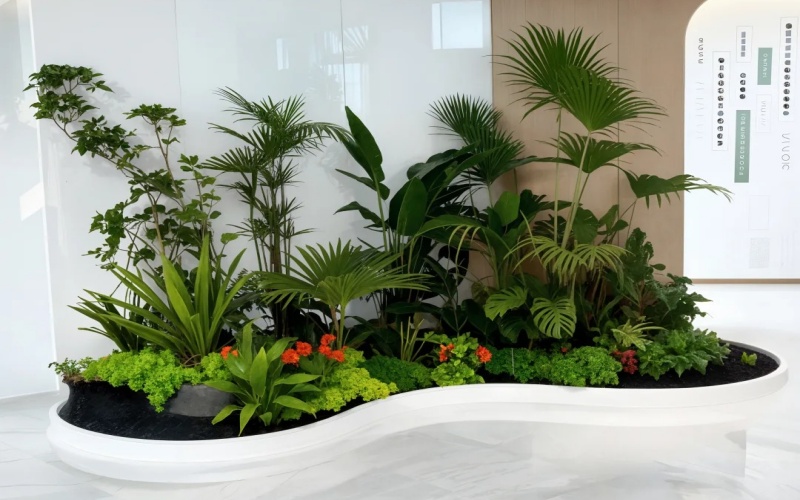 上海植物租赁,上海绿植租赁,上海办公室植物租赁