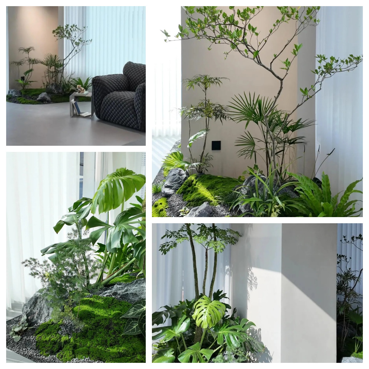 禅意风造景，让大自然🍃🍃与家融合_6_地表绿植【广州园林设计】_来自小红书网页版(1)_副本.jpg