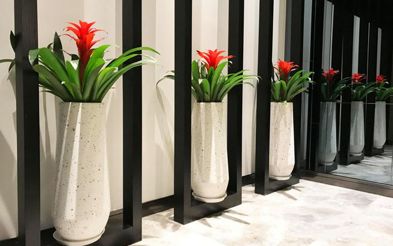 “花艺”与“园林景观设计与施工”赛项在甘肃林业职业技术学院举行